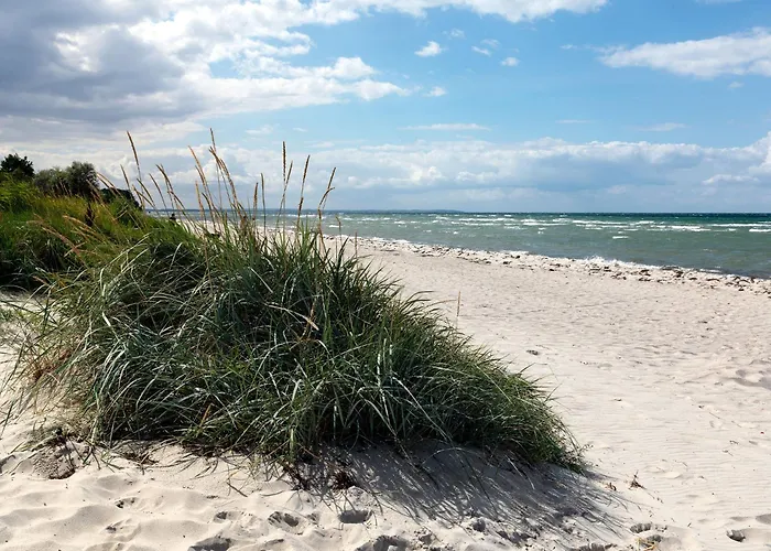 Residenz Ostsee Moewennest